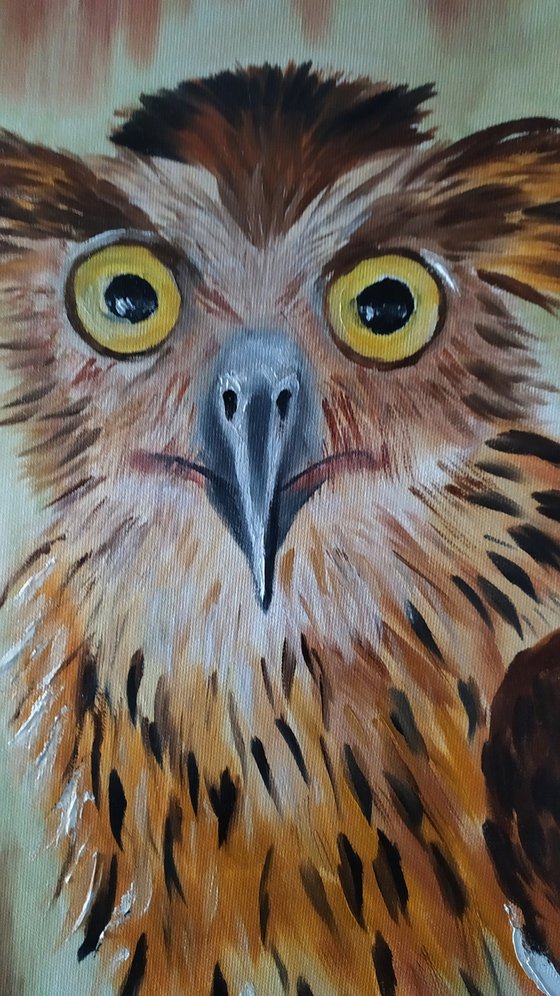 Hello brother! original owl oil painting, funny face, gift idea, art for home