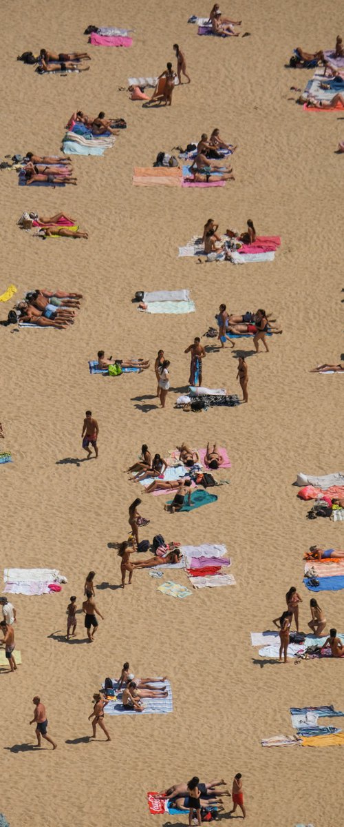 Summer Mosaic by Gilliard Bressan