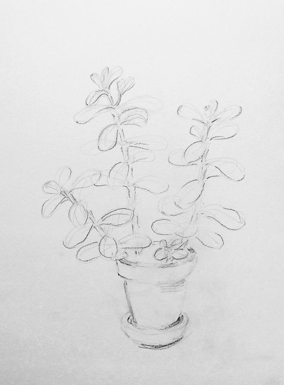 Money Tree. Original pencil drawing.