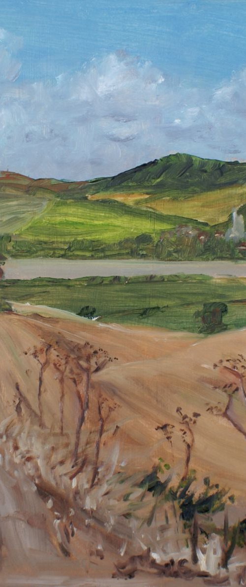 Footpath to River by Ann Palmer