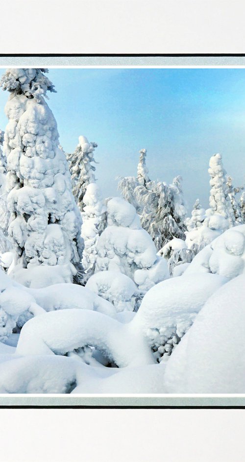 Finland Snow Forest six by Robin Clarke