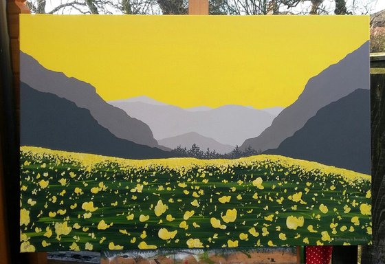 Buttercups in Borrowdale, The Lake District