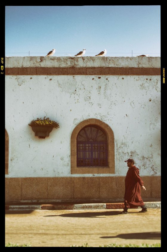 Walk along the Medina