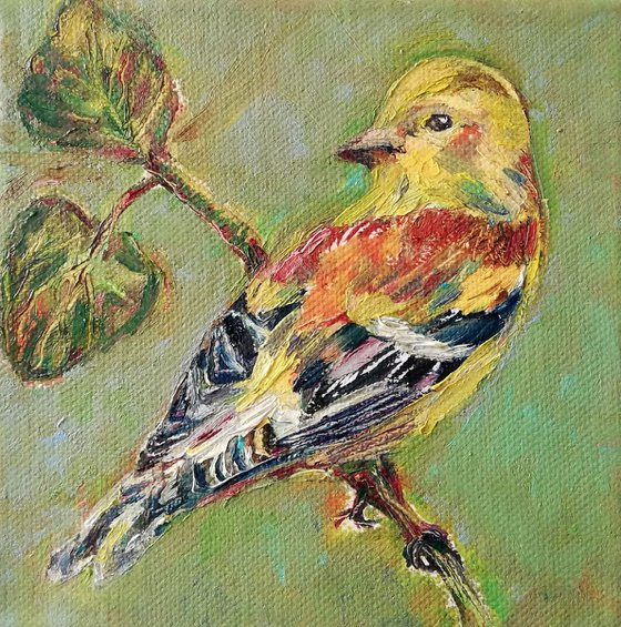 Birds' Stories