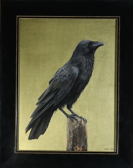 Raven, Portrait of a Black Bird