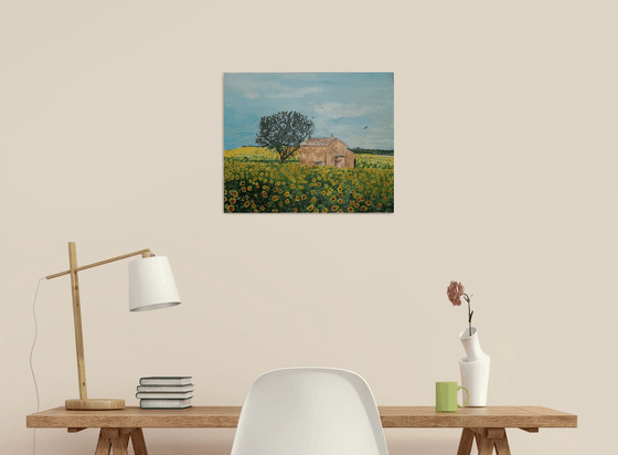 Sunflowers field