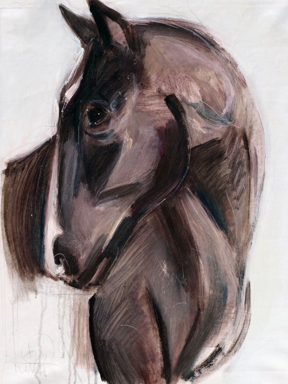 horse head study