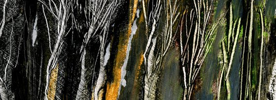 Mountain Ash Tree, Winter