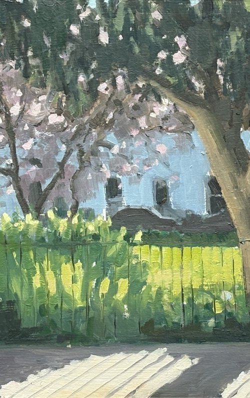 Paultons Square blossom by Louise Gillard