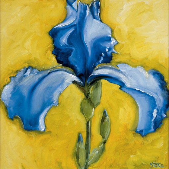 Lone Iris