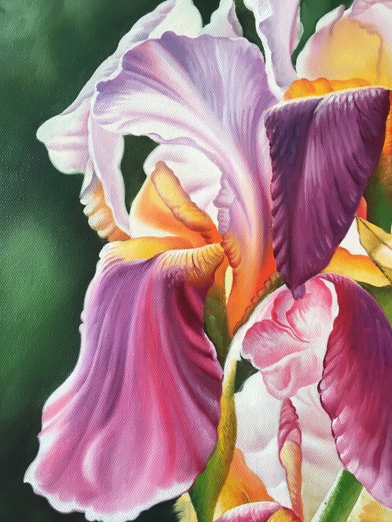 Realism oil painting:flowers t219