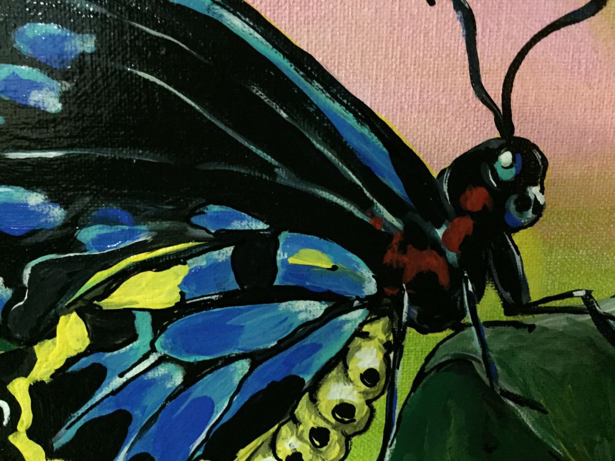 Impressionistic Animal Acrylic Painting By Carolyn Shoemaker (Soma), 12 X 12, Goliath Birdwing Butterfly, Original Artwork