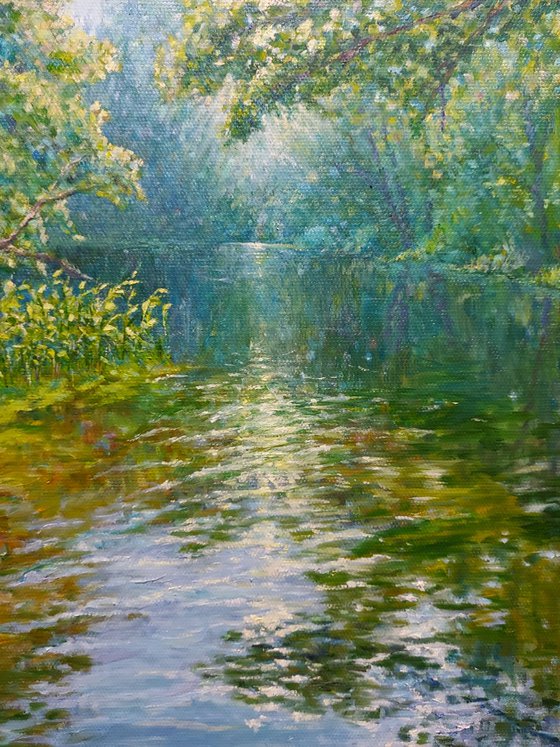 Where the Light settles