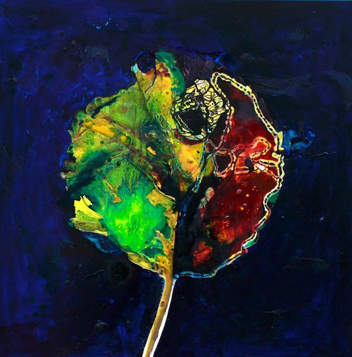 Found Map 36 Leaf Series Breach by Catherine Rive