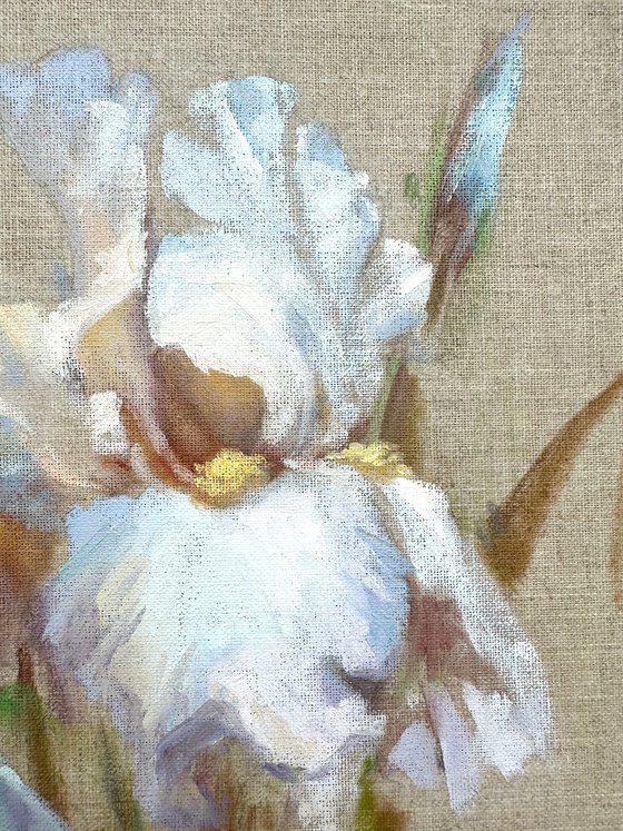 White  iris on raw canvas