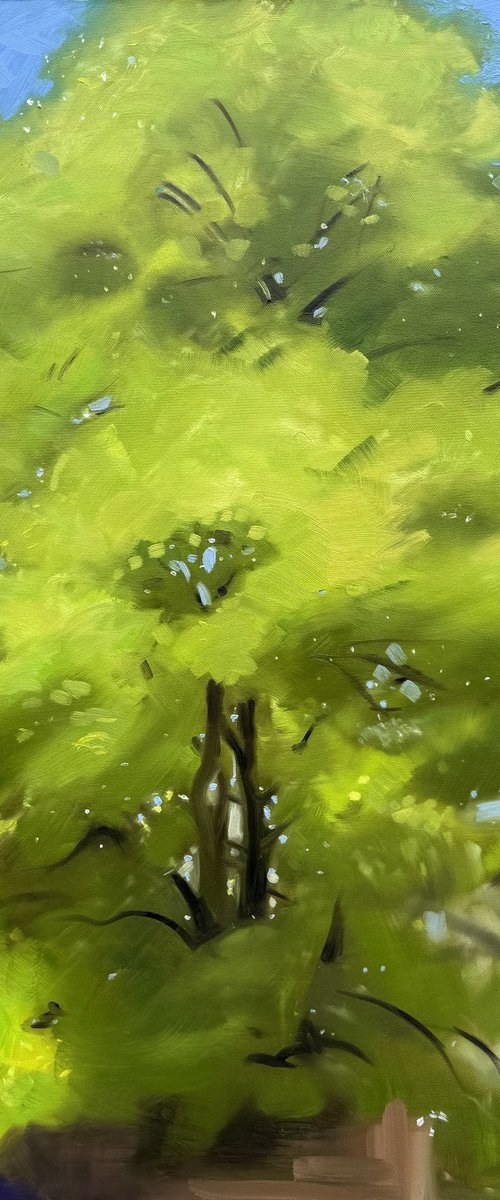 Tivoli Tree by Jessica Bleasby