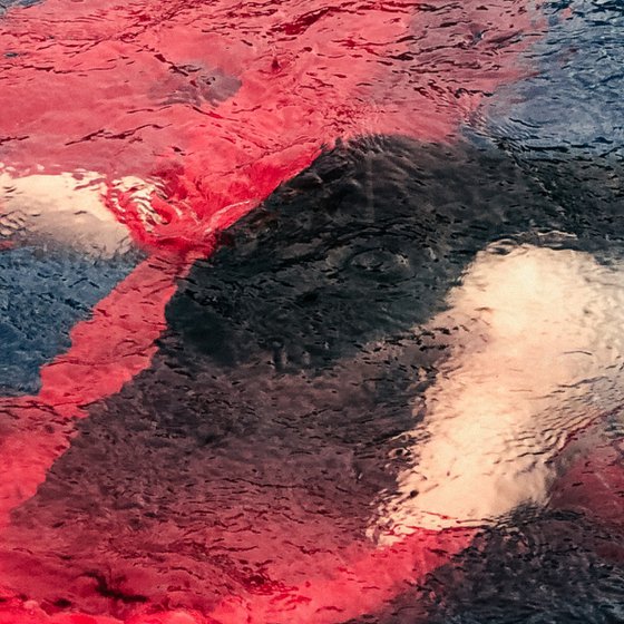 Red stole II
