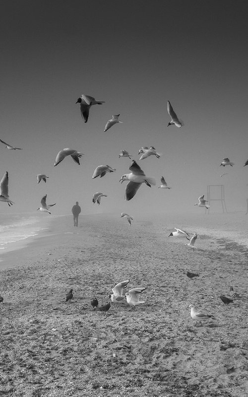 On the misty seaside. BW by Valerix