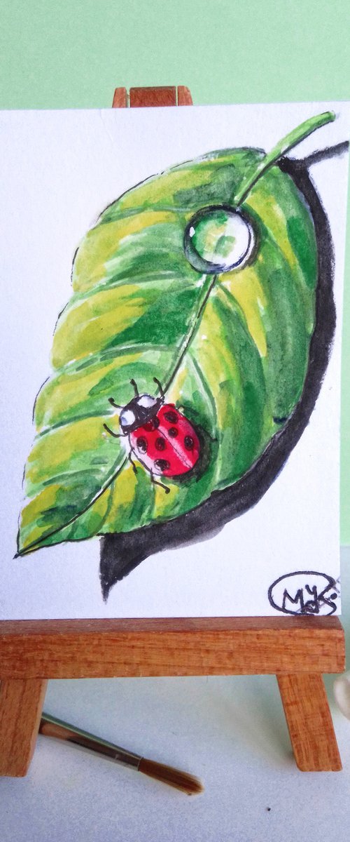 Ladybird on a green leaf by MARJANSART
