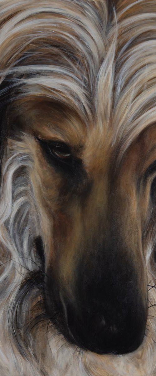 Portami con te / Let me come with you by Federica Belloli