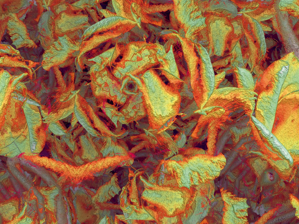 Abstract Botanical Print By Javier Diaz, 79 X 60, Tapices Ii, Original Artwork