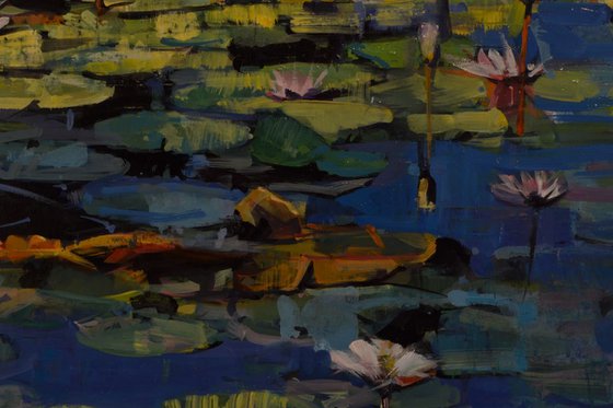 Waterlilies