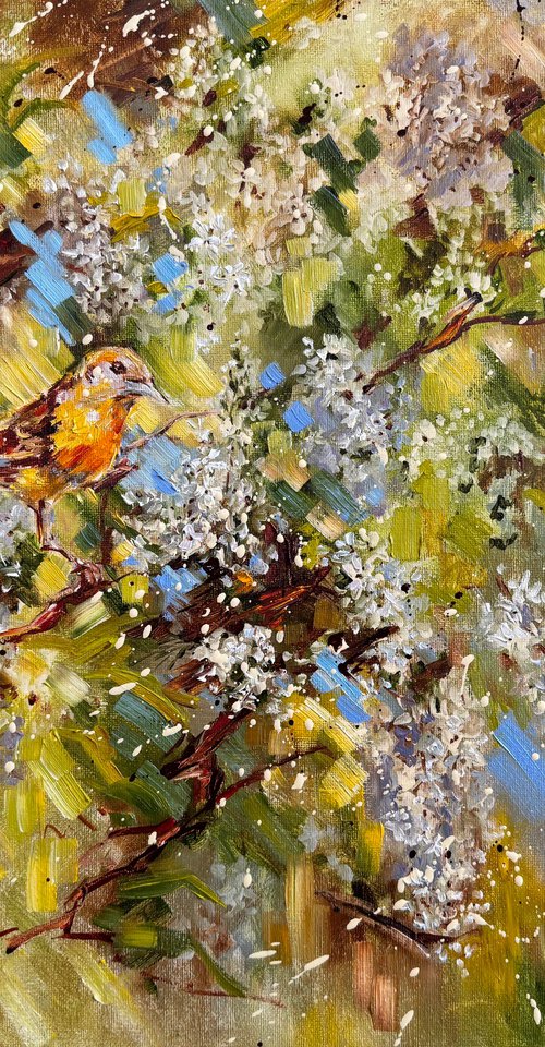 Bird Cherry Tree by Diana Malivani