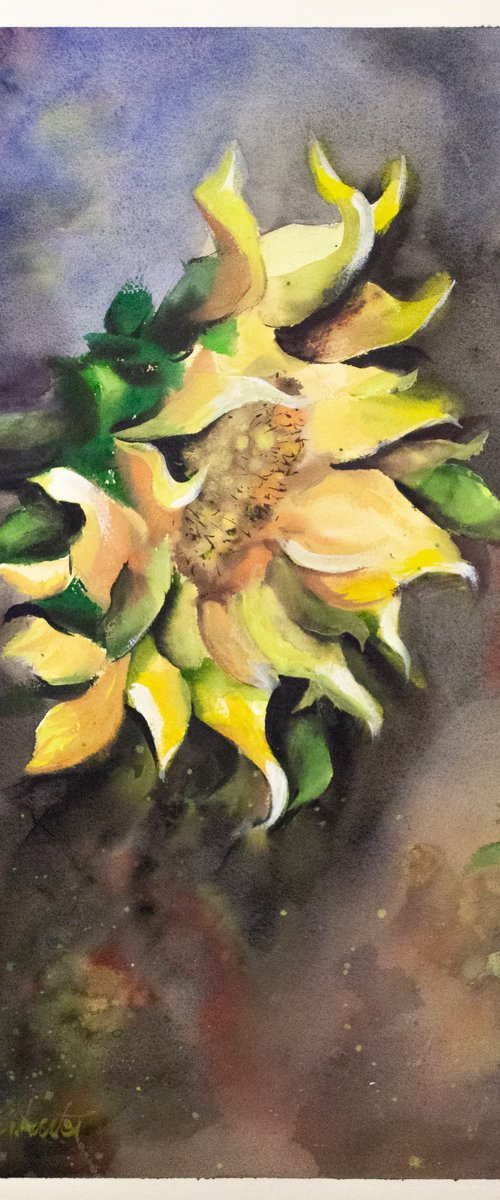 Watercolour Sunflower by Tomasz Mikutel
