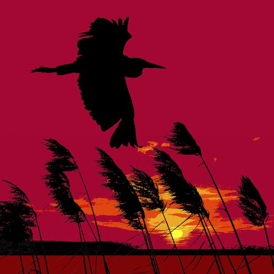 Heron Sunset