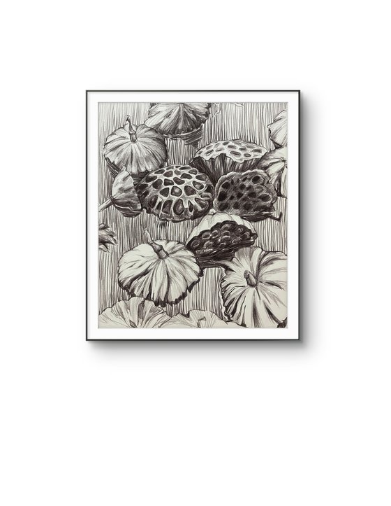 Lotus pods. Water flower