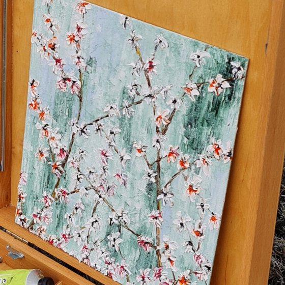 Cherries in bloom 2