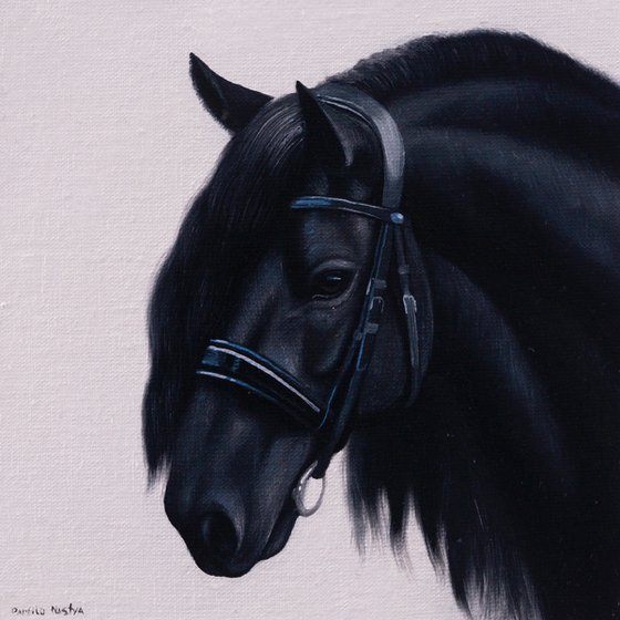 Horse Portrait 15