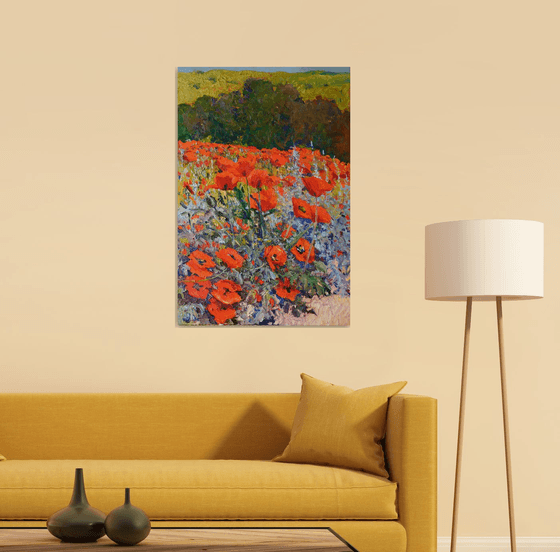 Alpine Poppies