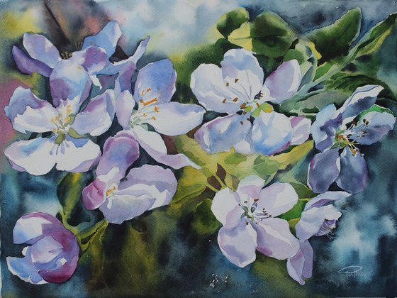APPLE FLOWERS#3