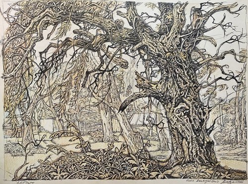 Old willow by Oleg and Alexander Litvinov
