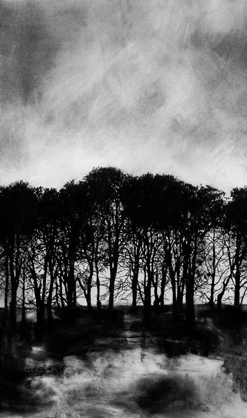 Chicklade Copse by Paul West