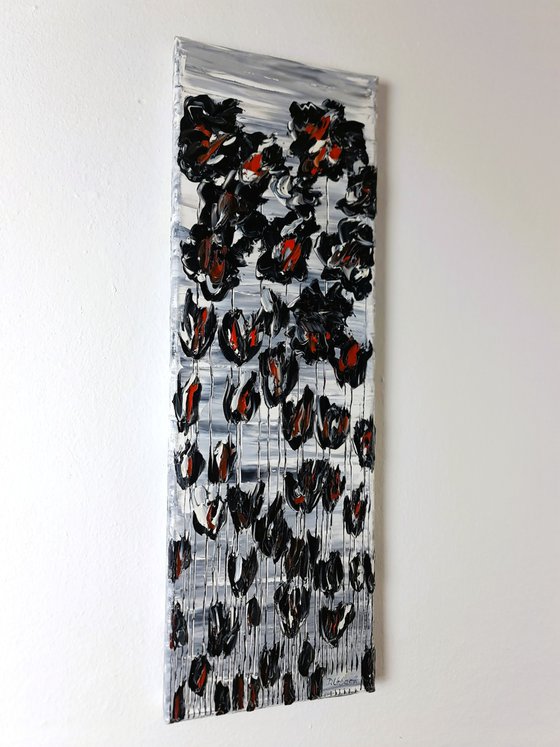 Black Poppies 1