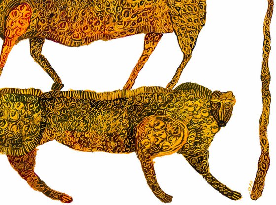 Leopards