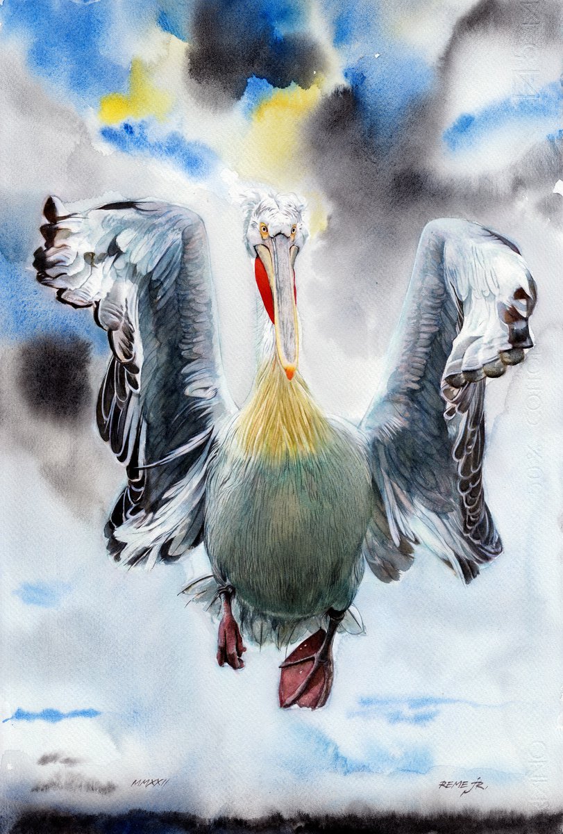 BIRD PELICAN CCXI by REME Jr.