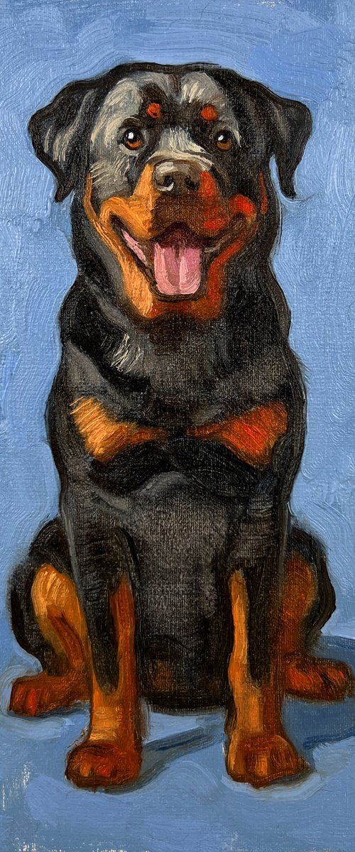 Rottweiler by Elina Arbidane