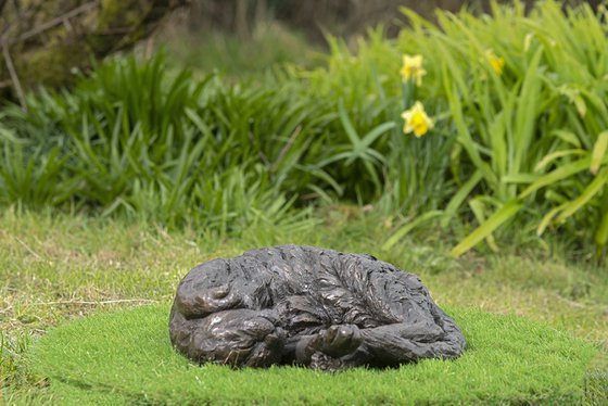 Curled Cat (BR sculpture)