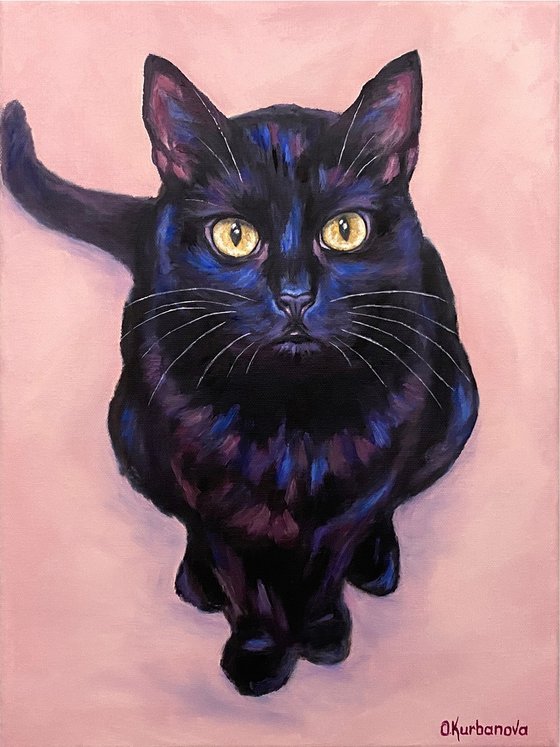 Yellow eyes