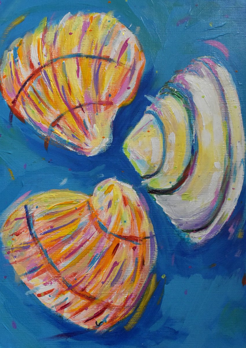 Shells by Dawn Underwood