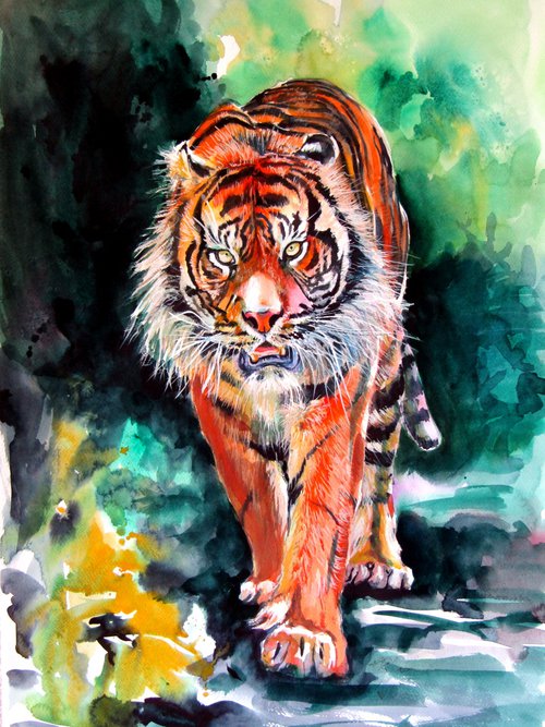 Tiger in forest by Kovács Anna Brigitta