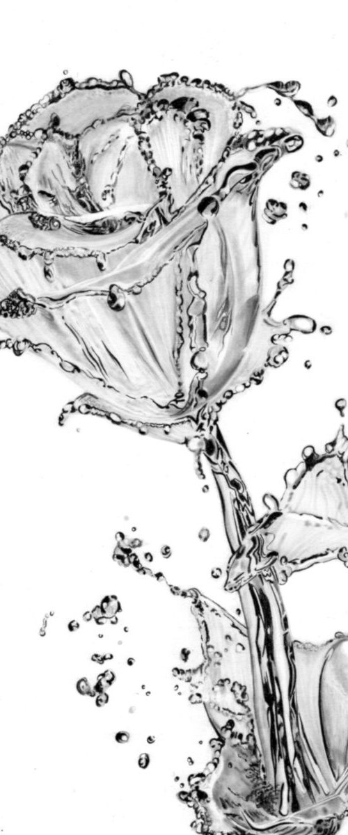 Rose Water by Paul Stowe