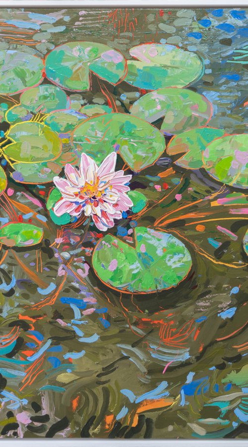 Tasman Lily Pond 45 by Joseph Villanueva