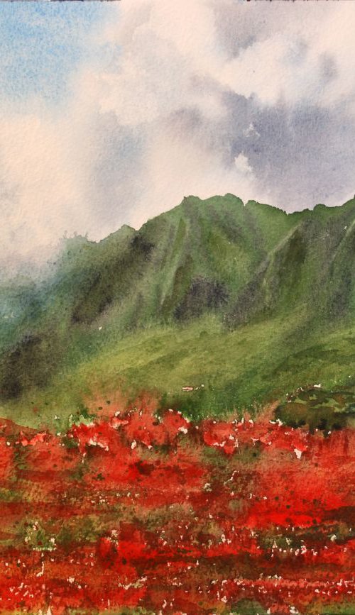 Asian poppy fields /  ORIGINAL PAINTING by Salana Art