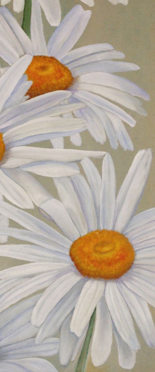 White Daisies by Angeles M. Pomata