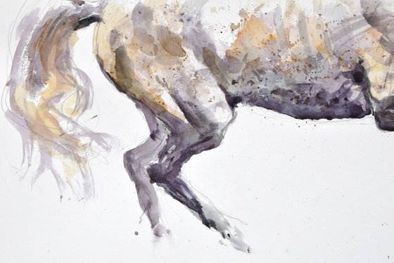 Running horse (70x50)