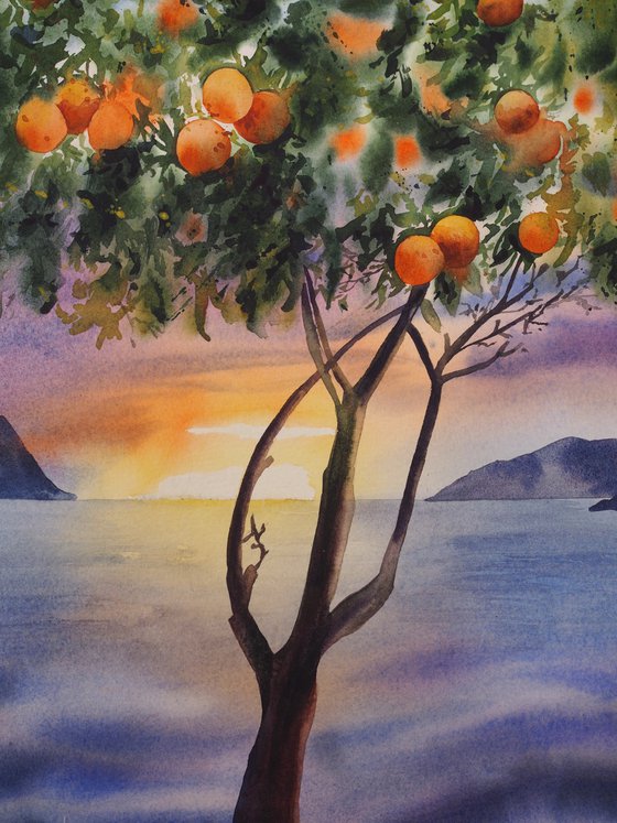 Mediterranean sunset with oranges tree